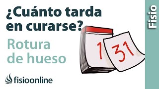 ⏱Cuánto tarda en curarse una fractura o ROTURA DE HUESO🦴 [upl. by Sualokcin]