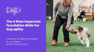 FREE Webinar The 4 Most Important Foundation Skills For Dog Agility [upl. by Rehpotsirhcnhoj399]