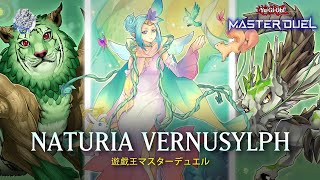 Naturia Vernusylph  Naturia Beast  Ranked Gameplay YuGiOh Master Duel [upl. by Ahsikar448]