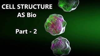 Cell Structure  AS Biology Paper 2 Revision  Cambridge AS Level  Part 3 [upl. by Marlen]