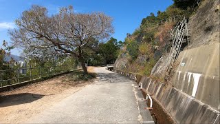 Nov2020 MacLehose Trail Section 10 麥理浩徑第十段 [upl. by Ahsats634]