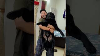 My Dog Hates Bath trending lucky doglover [upl. by Airitac891]