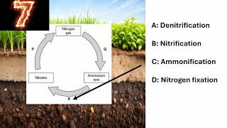 ALevel Biology 10 second quiz episode 3 [upl. by Viviyan]