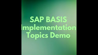 SAP BASIS Implementation Topics Demo [upl. by Eltsyrk907]