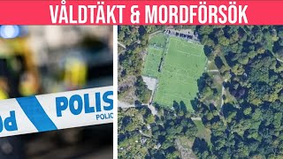 Kvinna utsatt för våldtäkt och mordförsök i Tantolunden [upl. by Telrats]