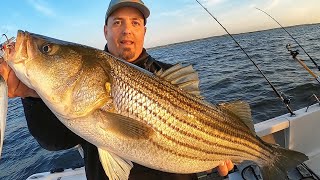 Striper fishing EXPOSED Catching Bait to Catching Stripers Where to fish How to fish and WHY [upl. by Asial]