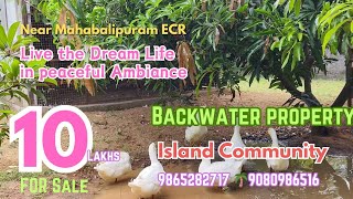 🆔 1196🌴10LAKH LOW BUDGET Backwater Farm For Sale Chennai ECR🌴 Mahabalipuram island Community🌴MrAshi [upl. by Esikram439]