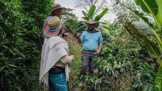 4 semaines en Colombie  2éme épisode  Salento et la culture du café [upl. by Iredale]