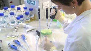 Using a Micropipette  University of Leicester [upl. by Kerk452]