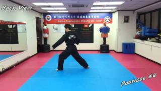 Taekwondo  Poomsae 6 Yook Jang Slowmotion amp Mirror [upl. by Sanalda]