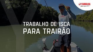 TRABALHO DE ISCA PARA TRAIRÃO  DicaYamaha com Johnny Hoffmann [upl. by Carolus]