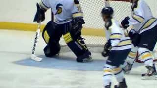 Hockey Mississippi Surge versus Riverkings AVCHD VIDEO TEST [upl. by Mihalco]