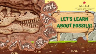 Learn about fossils  dinosaurs paleontologists where are fossils found What are fossils made of [upl. by Alansen]