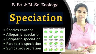 Speciation  types  Evolution  B Sc amp M Sc Zoology [upl. by Aerdnat716]