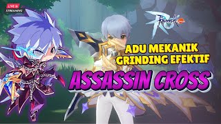 D1 CBT REDEEM CODE quotIM NOT DOIN UFO EVENTquot EXP GRIND SPOT 44 TO 60 🔥ragnarokmclassic assassin [upl. by Liakim]