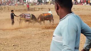 turak gorada 🆚 shetan bodrali dangal mee ❤️🔫😈 [upl. by Ezra]