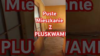 Puste mieszkanie a pluskwy dalej są mgr Łukasz Bula  Zwalczanie Pluskiew [upl. by Inajna]