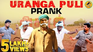 Uranga Puli Prank  Under Taker Vs Urunga Puli  Tamil Prank  Katta Erumbu  Fun Panrom [upl. by Kanya]