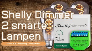 Shelly Dimmer 2 Anschluß amp Alexa [upl. by Kanya281]