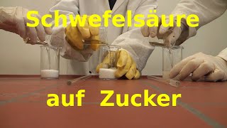 Reaktion von Zucker mit Schwefelsäure  Bildung von Zuckerkohle [upl. by Ynnal500]