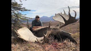 Self Guided Giant Alaska Moose Hunting 2018  Kent Kaiser [upl. by Magnien]