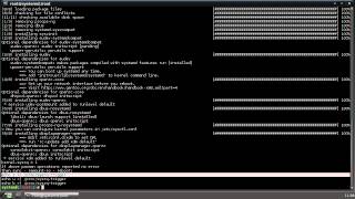 Arch Linux from systemd to openrc in 35 seconds [upl. by Nylissej]