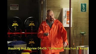 Breaking Bad Review 04x06 quotCorneredquot Reaction amp Recap [upl. by Curcio915]