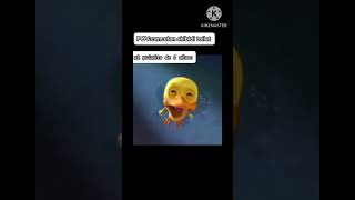 pato llorando meme memes funny duck humour [upl. by Arnaud]