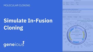 How to Simulate InFusion Cloning with Geneious Prime [upl. by Macswan980]