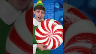 GIANT FREEZE DRIED PEPPERMINT 🎅🍭 trendytreats candy Christmas [upl. by Ayrolg]