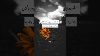 Deewangi song  Pakistani drama OST  Whatsapp sad status  lyrics  viral  shorts  urdushayri [upl. by Robinetta]