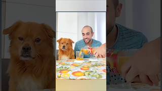 Prank 😂 with dog 🐕 funny 😂🤣 video viralvideos shorts [upl. by Cirdec]