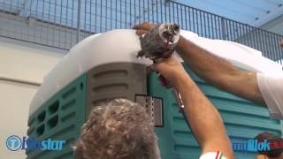 MyBlok  Portable Toilet Assembly Video [upl. by Lertnek847]