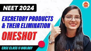 Excretory Products and their Elimination in One Shot  CBSE Class 11 Biology  NEET 2024 [upl. by Nalad572]