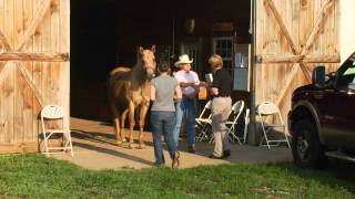 Countryside Vet Service Practice Overview Video [upl. by Massie]