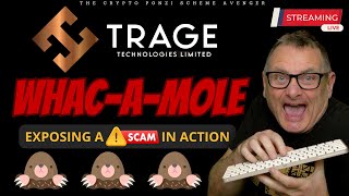 WhacAMole Strategy How We Crashed TrageTechs Scam Zoom Call amp Exposed Their Ponzi Scheme Tactics [upl. by Nezam]