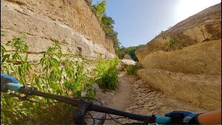 These are fun intermediate MTB trails at Walnut Creek Park in Austin TX [upl. by Aihseya]