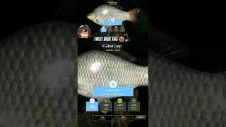 First Blue Tag Gibel at Copper Lake RF4 fishinggames copperlakerf4 [upl. by Ifill365]