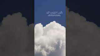 Stop scrolling and listening to Surah Furqan recited by Qari Ibiidris [upl. by Iralav]