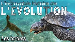 Aux origines des tortues  Évolution  Paléontologie  Simplex Paléo [upl. by Eaton967]