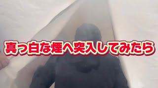 愛知県豊橋市 火事の体験バチクソしてみた！ [upl. by Drawyeh]