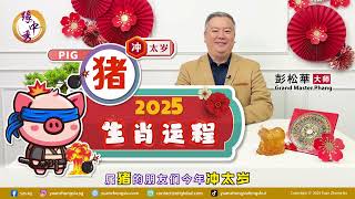 2025 Pig Zodiac Forecast 生肖属猪运程 by Grand Master Hillary Phang [upl. by Edgerton]