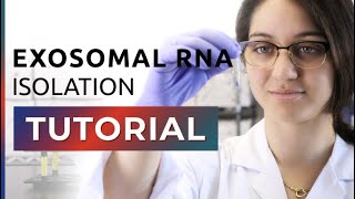 How to Isolate Exosomal RNA From Exosomes [upl. by Jacobsohn]