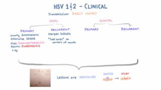 HSV  Clinical Presentation  Part 1 [upl. by Eremahs]