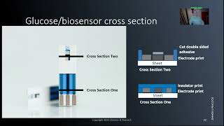 Layout and cross section of an electrochemical biosensor  glucose strips [upl. by Sparke]