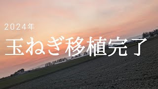 【FarmVlog22】玉ねぎ移植完了 播種～移植までの動画まとめ [upl. by Myrlene]