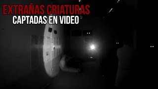 5 Criaturas Extrañas Captadas en Video [upl. by Suilenroc]