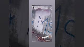 MS13 Invade Queens Ny migrant gangs 2024 [upl. by Perice406]