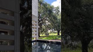 Enjoy 30 seconds of peace at the Capitol Park Museum in downtown Baton Rouge Sound on louisiana [upl. by Gunther41]