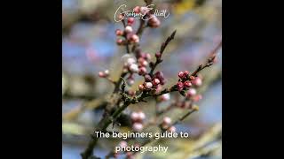 Beginners guide to photography [upl. by Krefetz]